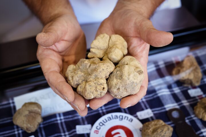 Acqualagna si prepara alla nuova stagione del tartufo bianco, al via il 1° ottobre