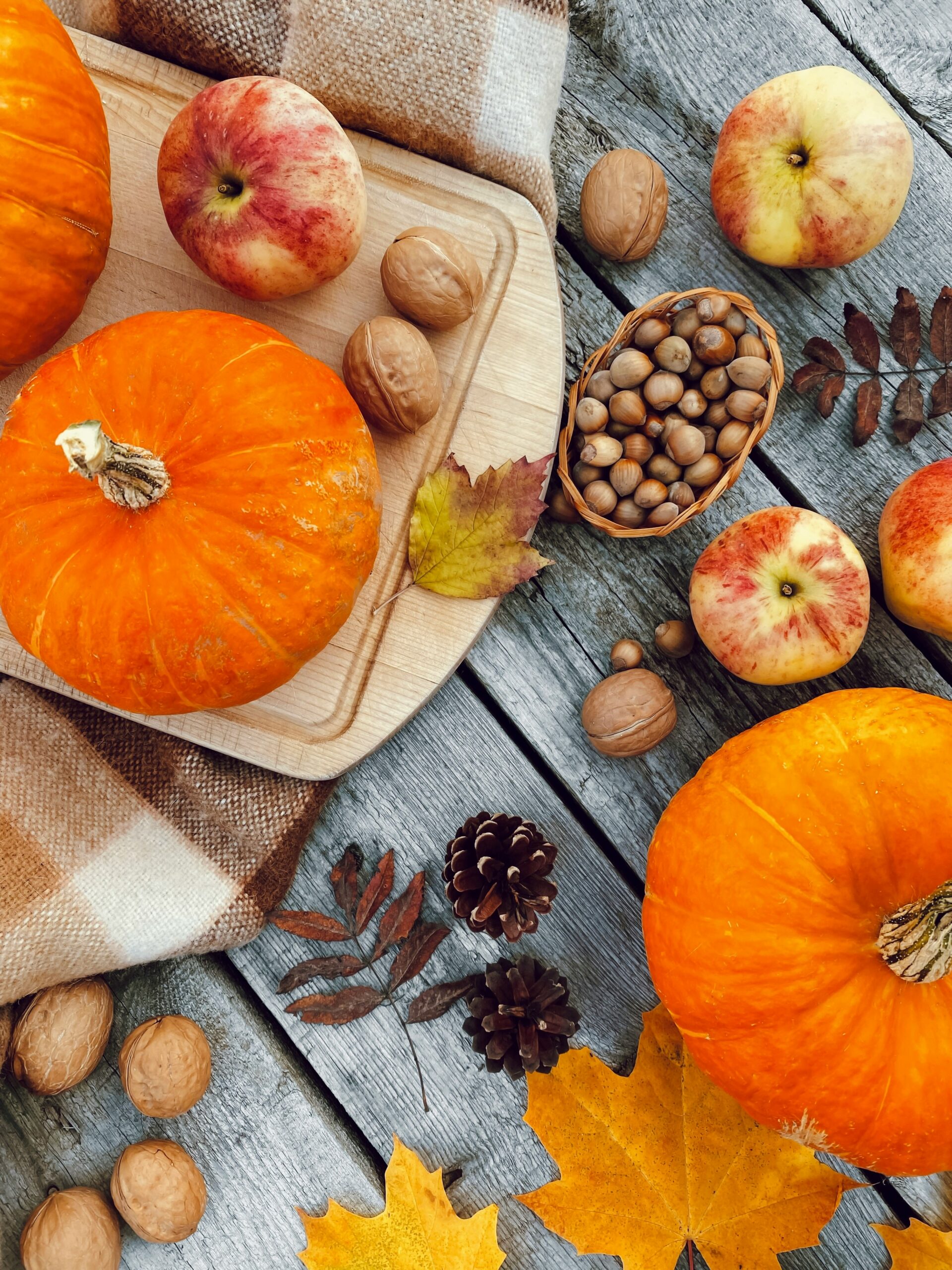 Fiere e sagre in Piemonte: castagne, tartufi, zucche e sapori d’autunno nel primo weekend di ottobre