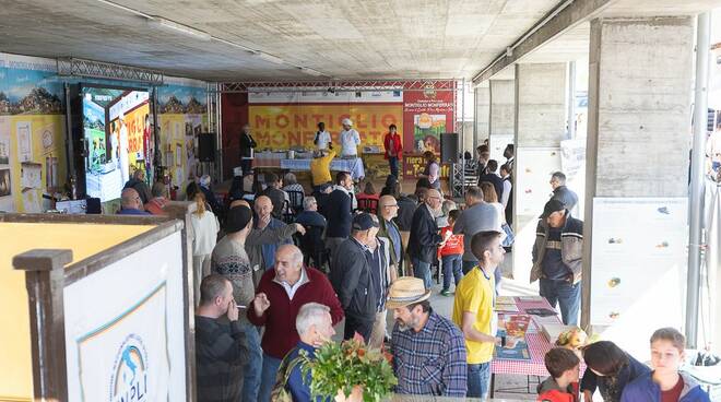 Tartufo, torna la Fiera Nazionale di Montiglio Monferrato tra cooking show, treni storici, arte e musica