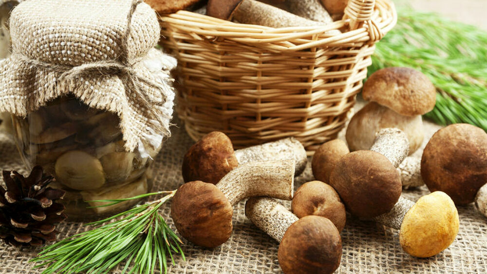 Funghi e tartufi, in Lombardia cambiano le regole per raccoglierli: cosa prevede la nuova legge