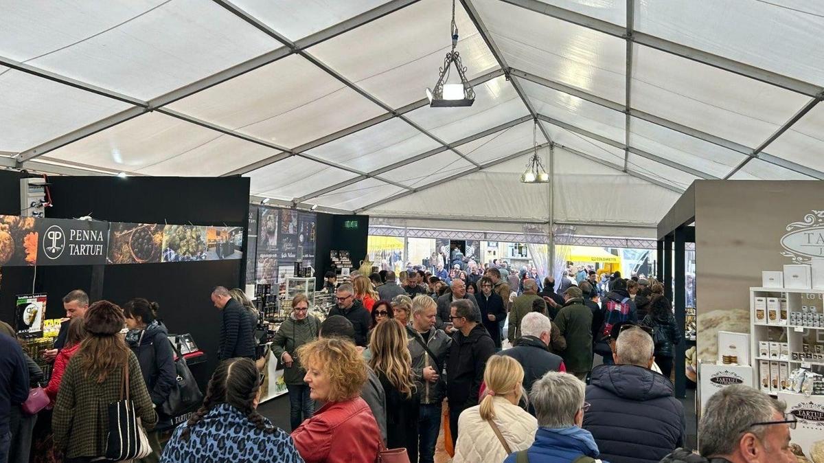 La magia del tartufo bianco pregiato. Il Salone Nazionale “si fa in tre“