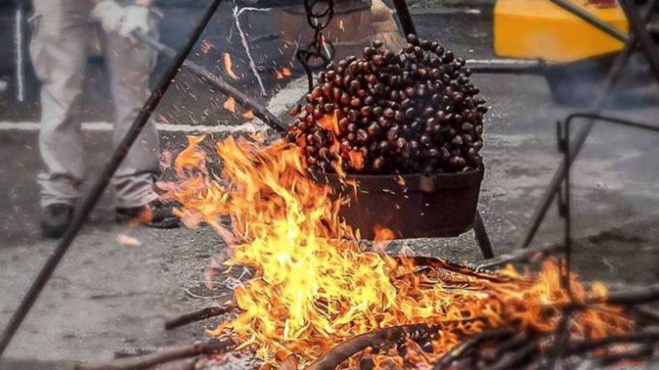Sagre d’autunno: alla scoperta di zucche e castagne, vino novello e tartufo