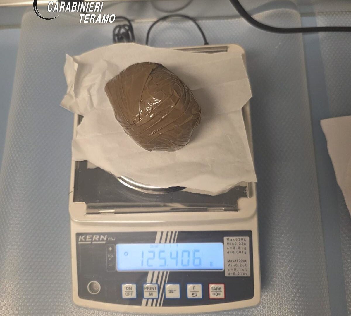 Corropoli, cane da tartufo fa emergere droga in campagna